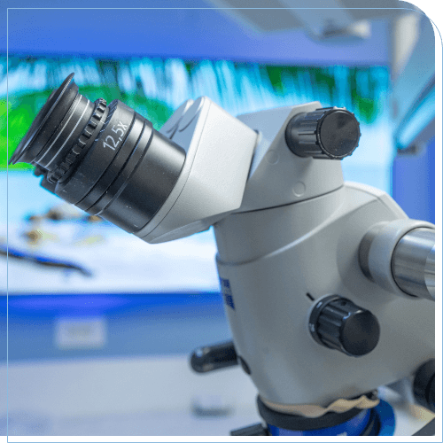 Close up of a microscope on counter in dental office