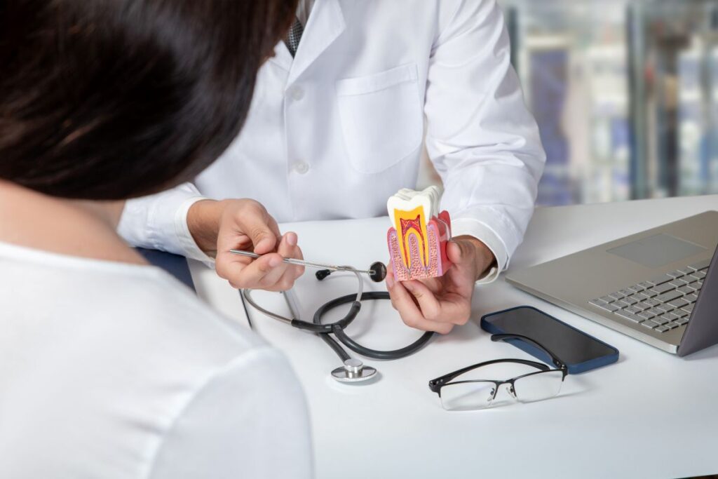 A dentist showing a patient a model of how a root canal works